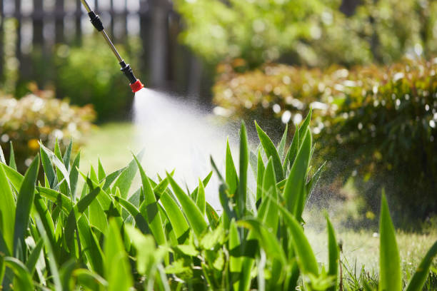Tamper-Resistant Bait Stations for Rodents in Colonial Heights