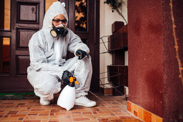 Attic and Crawl Space Rodent Treatment in Colonial Heights