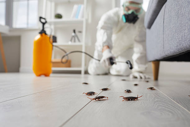 Commercial Rodent Management in Colonial Heights